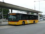 (239'512) - H�fliger, Sursee - Nr.