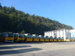 (197'996) - Ruklic, Schaffhausen - SH 17'473 - Saurer/T�scher (ex Schett, Sargans) am 30.