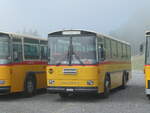 (239'783) - Ackermann, Landquart - GR 106'362 - Saurer/R&J (ex F�ssler, Unteriberg; ex Sch�rch, Gutenburg Nr.
