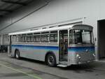 (228'430) - Borer, Neuhausen - SH 19'684 - Saurer/T�scher (ex Sch�ttler, D-K�ln; ex Braun, D-M�nster; ex Schmid, Hemishofen; ex Br�tsch, B�ttenhard; ex ASS Schleitheim Nr.