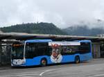 (263'500) - BOGG Wangen b.O.