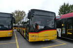 (281'232) - CarPostal Ouest - VD 305'217/PID 10'356 - Solaris am 11.