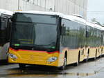 (253'513) - Buchard, Leytron - (617'943) - Mercedes am 6.