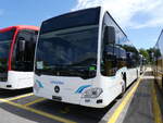 (276'128) - Schneider, Ermenswil - (621'426) - Mercedes am 31.