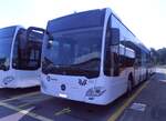 (277'565) - Limmat Bus, Dietikon - AG 578'122 - Mercedes am 5.
