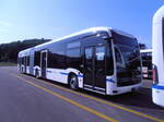 (277'575) - ZVB Zug - (145'972) - eMercedes am 5.