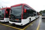 (278'367) - RVBW Wettingen - (145'899) - eMercedes am 2.