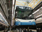 (236'446) - VBZ Z�rich - Nr.