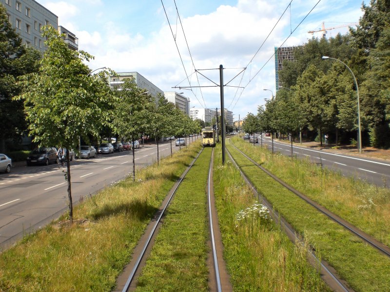Unterwegs auf Rasengleis in Berlin, Juli 2009